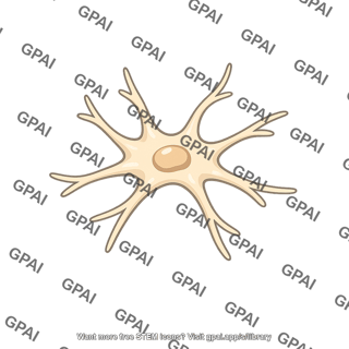 Bone cell