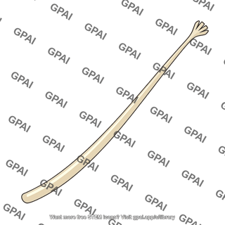 Gecko foot hair