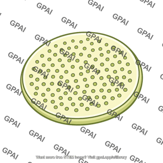 Sieve plate