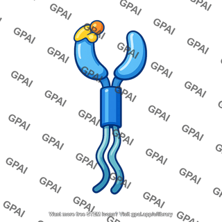 Her3 receptor bound ligand
