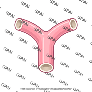 Branching airway
