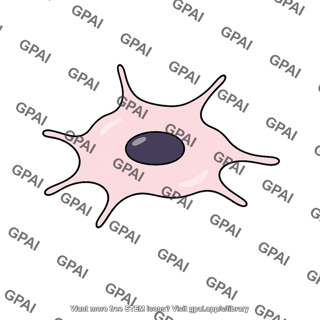 Extraembryonic mesoderm cell