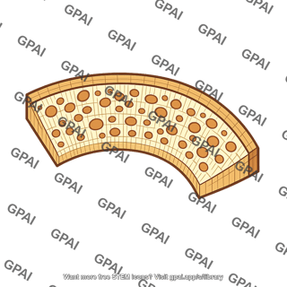 Swiss cheese slice