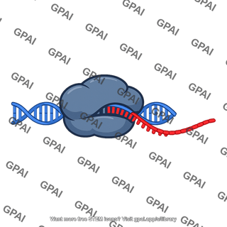 Rna polymerase transcribing