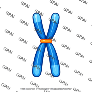 Chromosome aligned