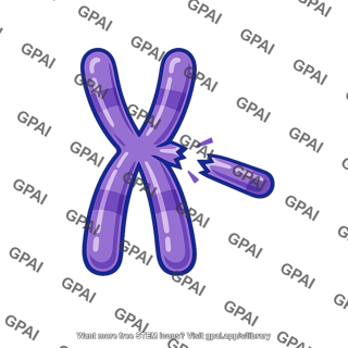Chromosome broken