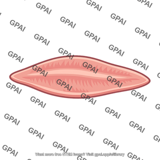 Flatworm parasite