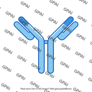 Secreted antibody