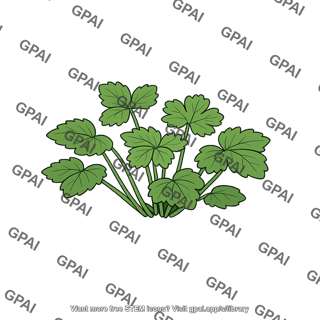 Leafy herb