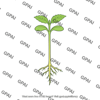 Plant seedling