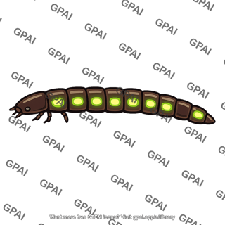 Bioluminescent click beetle larva