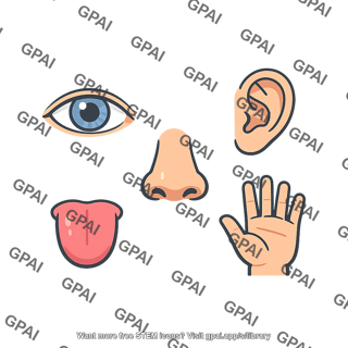 Five sense organs