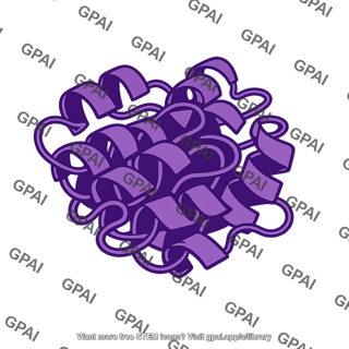Protein ribbon diagram