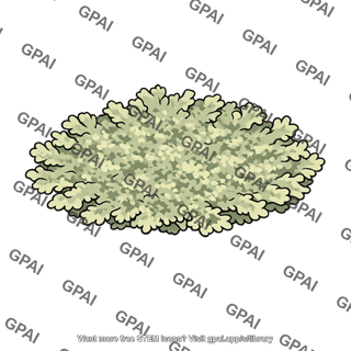Lichen