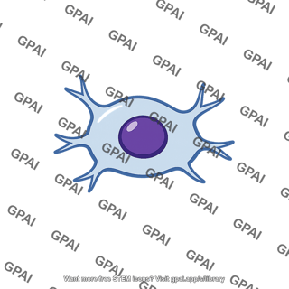 Supportive cell