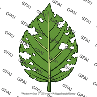Leaf chewed damage