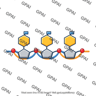Dna codon