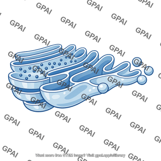 Endoplasmic reticulum