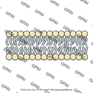 Cell membrane unsaturated