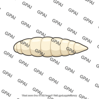 Maggot