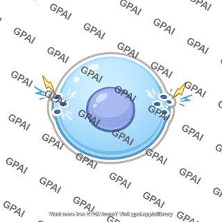Electroporation