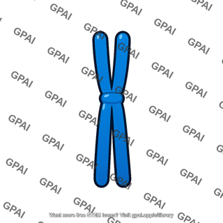 Replicated chromosome