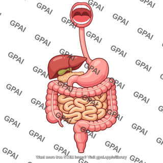 Digestive system