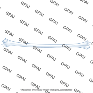 Polypropylene fibre