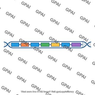 Crispr region