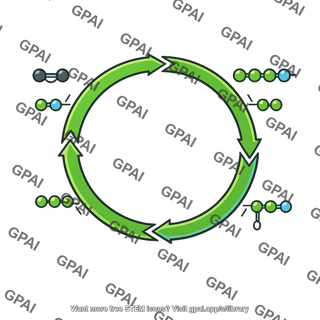 Calvin cycle