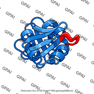 Mutated protein ribbon