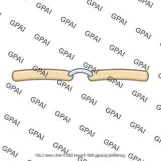 Cell wall cross link