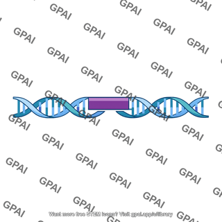 Dna strand with highlighted gene