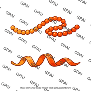 Glucagon