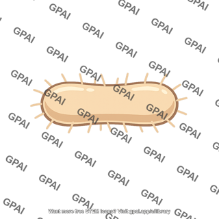 Digestive bacterium