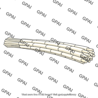 Axon tract