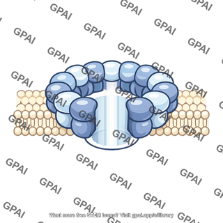 Molecular pore