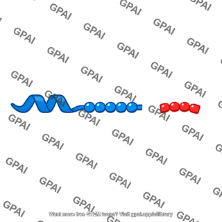 Signal peptide removed