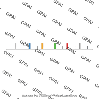 Genetic map horizontal