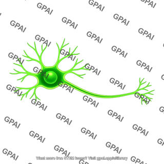 Nerve cell fluorescent