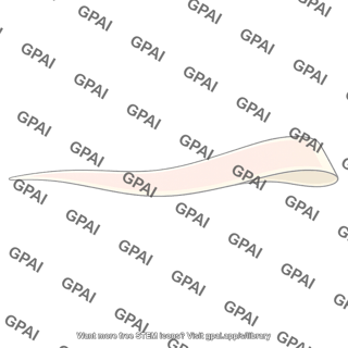 Basilar membrane