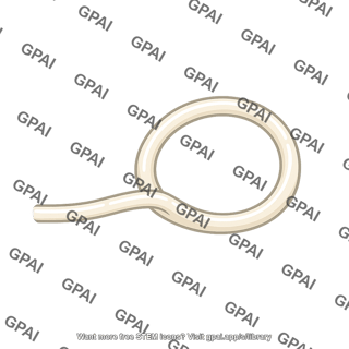 Hypha trapping hoop