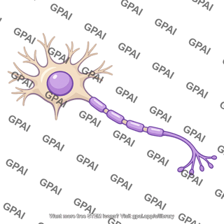 Nervous system cell