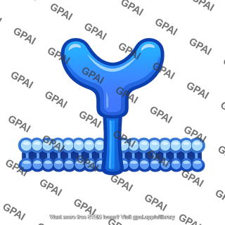 Surface protein