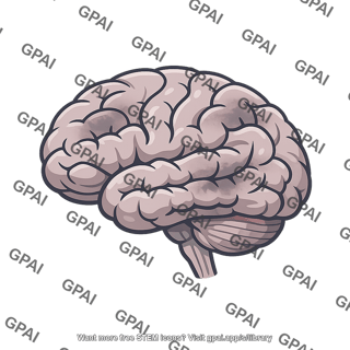 Human brain