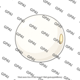 Pea seed coat white