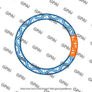 Recombinant dna plasmid