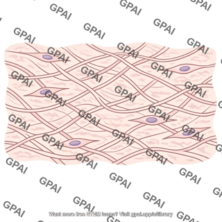 Connective tissue