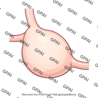 Crop digestive storage sac