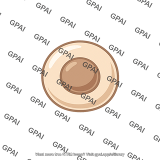 Wide brimmed hat